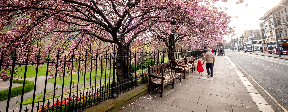 Spring Statement 2026: What investors need to know  