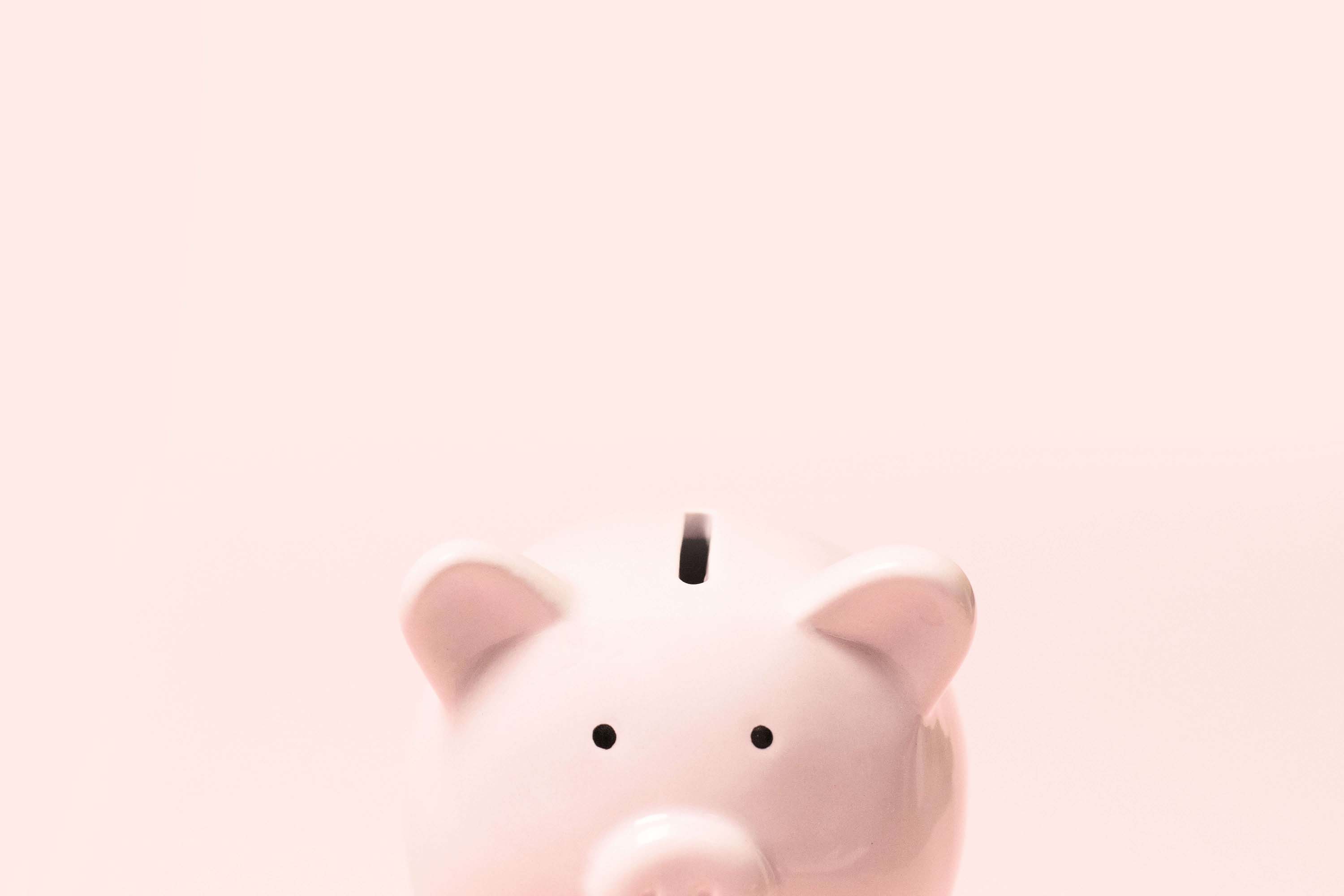 Piggy bank on pink background