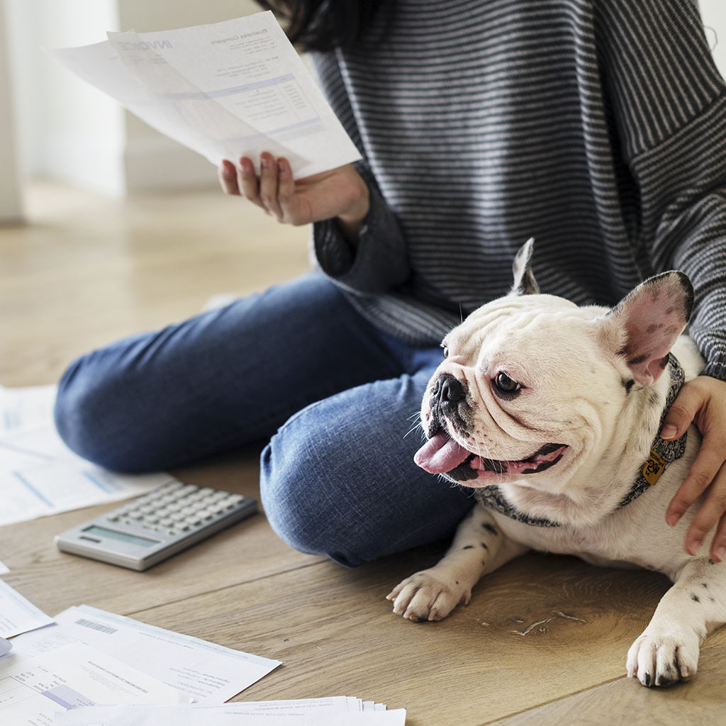 A white dog laying on the floor, beside a person in a striped jumper kneeling on the floor, with papers and a calculator in front of them