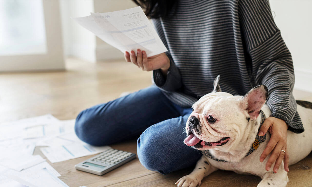 A white dog laying on the floor, beside a person in a striped jumper kneeling on the floor, with papers and a calculator in front of them