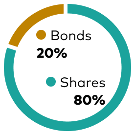 Doughnut chart showing asset mix, bonds 20% and shares 80%