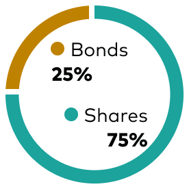 Doughnut chart showing asset mix, bonds 25% and shares 75%