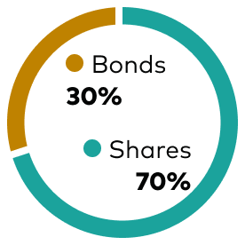 Doughnut chart showing asset mix, bonds 30% and shares 70%