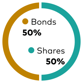 Doughnut chart showing asset mix, bonds 50% and shares 50%