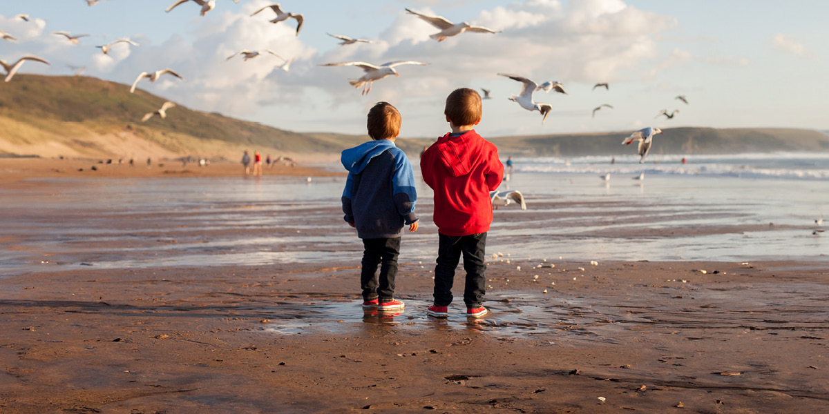 The fight or flight instinct and how to overcome it
