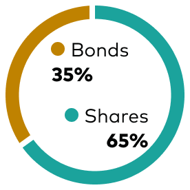 Doughnut chart showing asset mix, bonds 35% and shares 65%