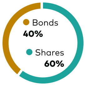 Doughnut chart showing asset mix, bonds 40% and shares 60%