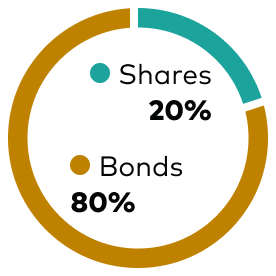 LifeStrategy® 20% equity fund